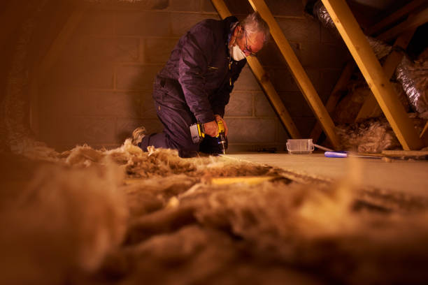Best Insulation Maintenance and Repair in Kingston, TN